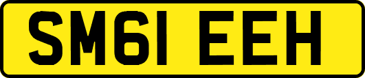 SM61EEH