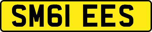 SM61EES