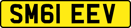 SM61EEV