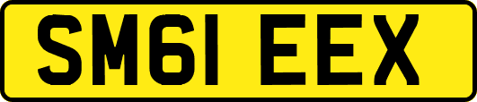 SM61EEX