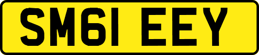 SM61EEY