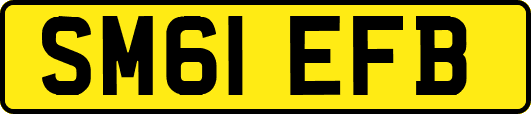 SM61EFB