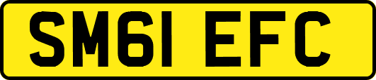 SM61EFC