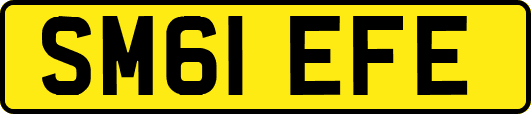 SM61EFE