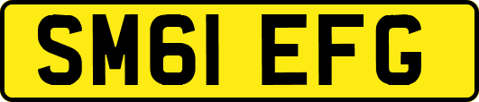 SM61EFG