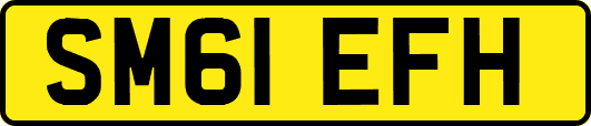 SM61EFH