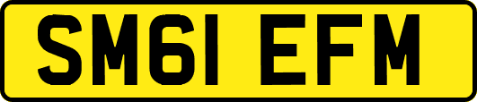 SM61EFM