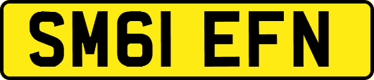 SM61EFN