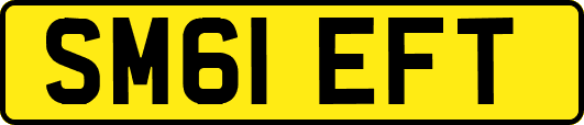 SM61EFT