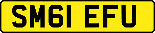 SM61EFU
