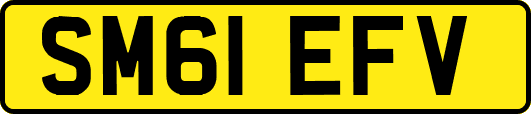 SM61EFV