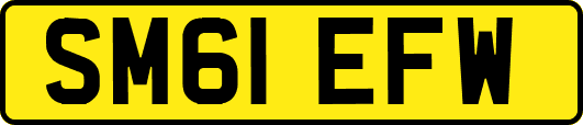 SM61EFW