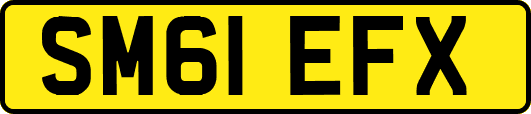 SM61EFX