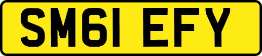SM61EFY