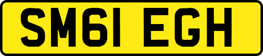 SM61EGH