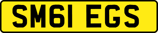 SM61EGS
