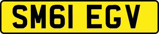 SM61EGV