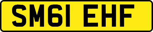 SM61EHF