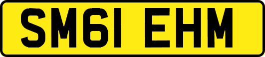 SM61EHM