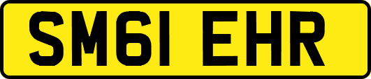 SM61EHR