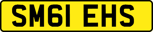 SM61EHS