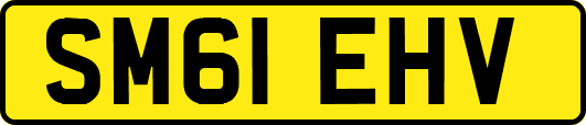 SM61EHV