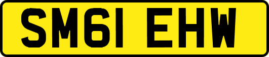 SM61EHW