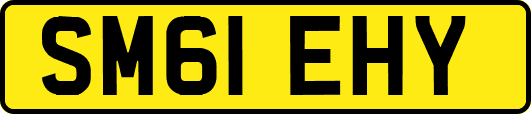 SM61EHY