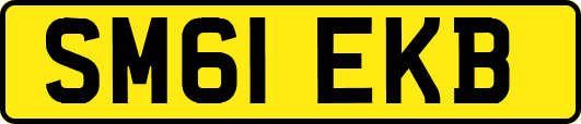 SM61EKB