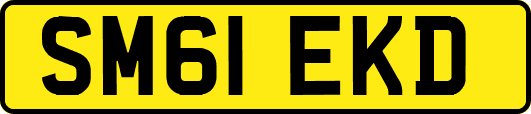 SM61EKD