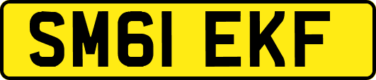 SM61EKF