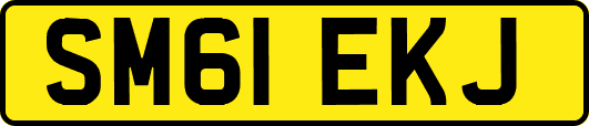 SM61EKJ