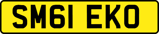 SM61EKO