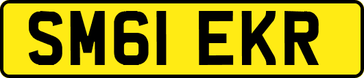 SM61EKR