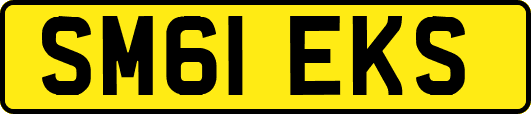 SM61EKS