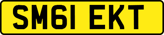 SM61EKT