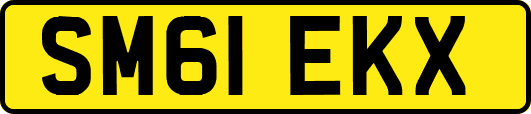 SM61EKX