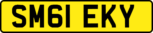 SM61EKY