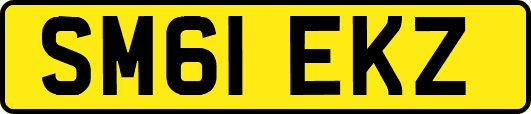 SM61EKZ