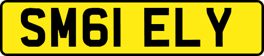 SM61ELY