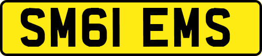 SM61EMS