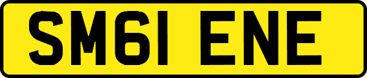 SM61ENE