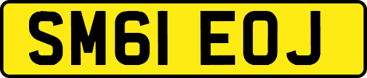 SM61EOJ