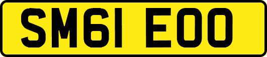 SM61EOO