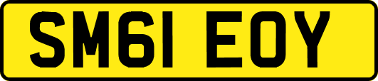 SM61EOY