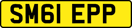 SM61EPP