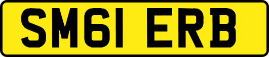 SM61ERB