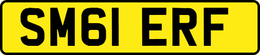 SM61ERF