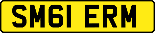 SM61ERM