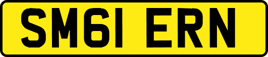 SM61ERN